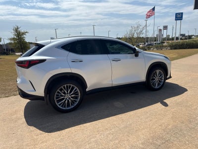 2023 Lexus NX 350h Luxury